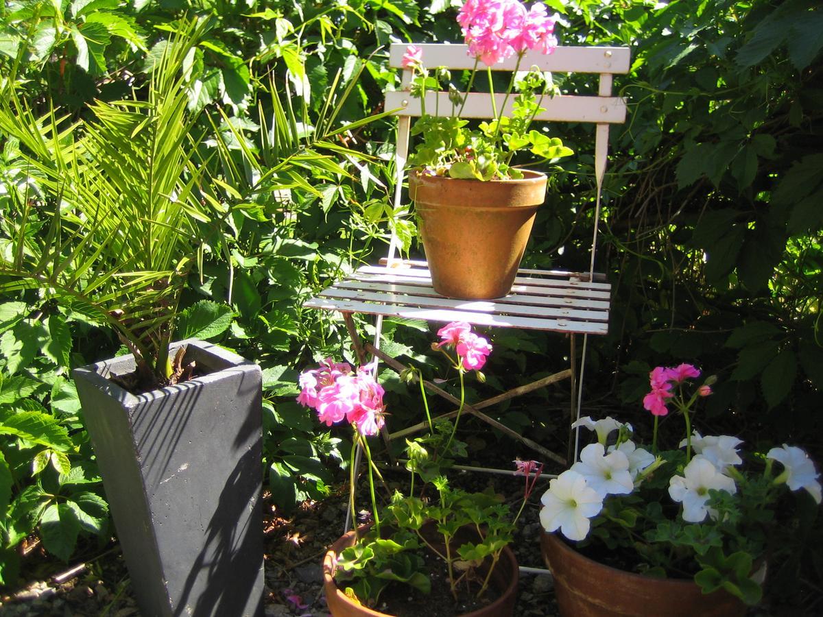Les Hauts Paturages Bed & Breakfast Ossun-ez-Angles ภายนอก รูปภาพ